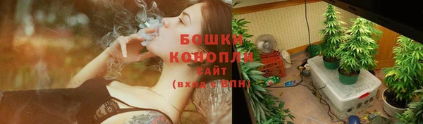 молекула духа Бугульма