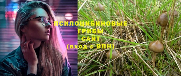 молекула духа Бугульма