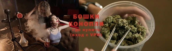 молекула духа Бугульма