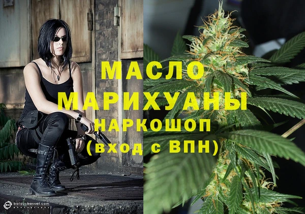 дживик Бронницы
