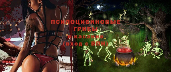 дживик Бронницы