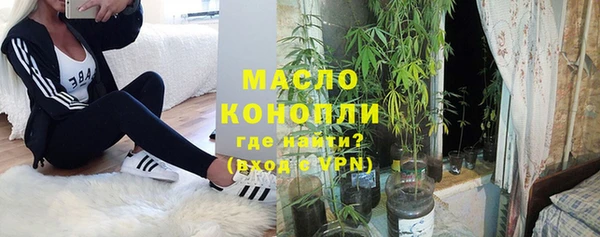 дживик Бронницы