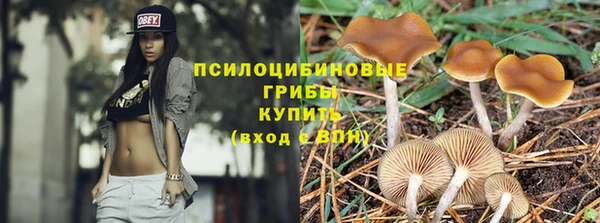 дживик Бронницы