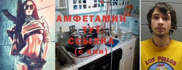 молекула духа Бугульма
