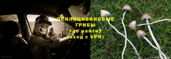 дживик Бронницы