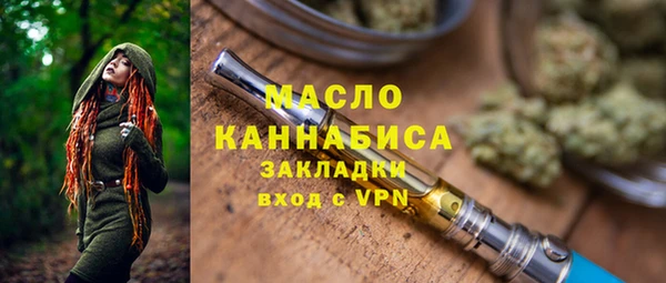 дживик Бронницы