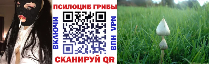 Галлюциногенные грибы прущие грибы Купить закладки Петров Вал